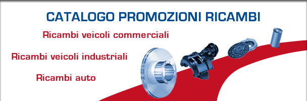 catalogo ricambi veicoli industriali online